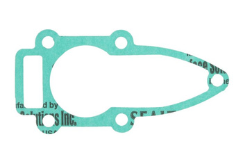 Uszczelka pompy cieczy chłodzacej PARSUN F8