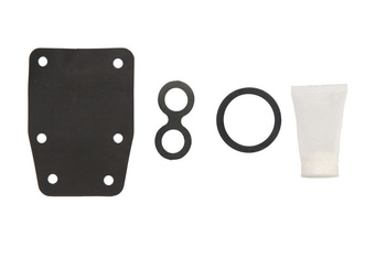 Zestaw naprawczy pompy paliwa EVINRUDE/JOHNSON