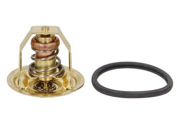 Termostat (60 °C, 140 °F)