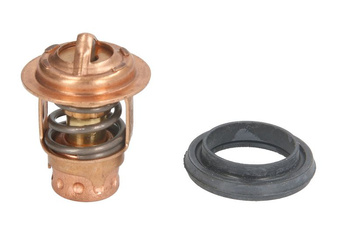 Termostat cieczy chłodzącej (50 °C, 120 °F)