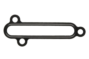 Uszczelnienie olejowe miska oleju PARSUN/YAMAHA F20  F25