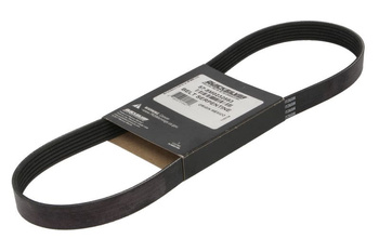 Pasek wielorowkowy MERCRUISER/MERCURY 135-300 Verado