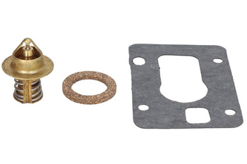 Termostat cieczy chłodzącej