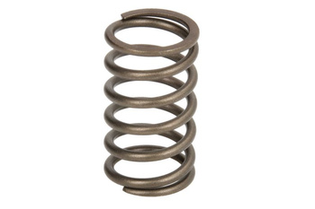 Sprężyna zaworu PARSUN/TOHATSU F8  F9.8