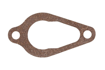 Uszczelka termostatu PARSUN/TOHATSU F8  F9.8