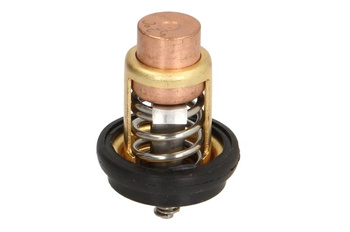 Termostat cieczy chłodzącej