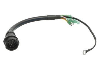 Wiązka elektryczna PARSUN F40