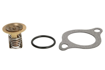 Termostat cieczy chłodzącej (60 °C, 140 °F)