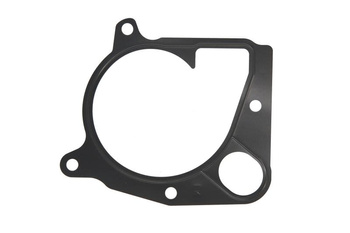 Uszczelka pompy paliwa