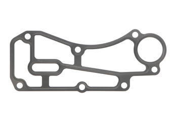 Uszczelka płaszcza wodnego PARSUN/YAMAHA F15  F9.9