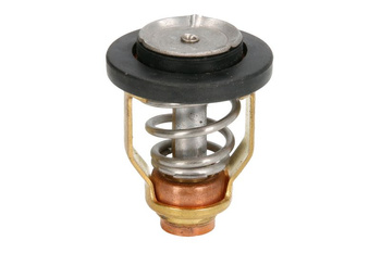 Termostat cieczy chłodzącej (50 °C, 122 °F)