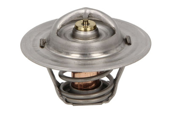 Termostat cieczy chłodzącej (60° dla GM/FORD silnik podstawowe V6, V8)