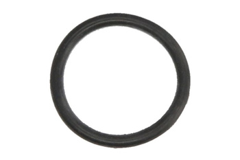 Uszczelka pompy paliwa PARSUN F50  F60