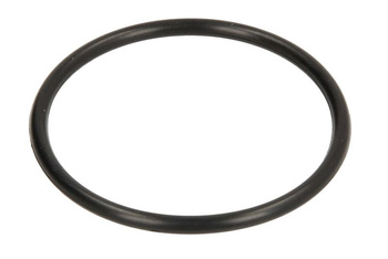O-ring dławicy przekładni dolnej PARSUN/TOHATSU F8  F9.8