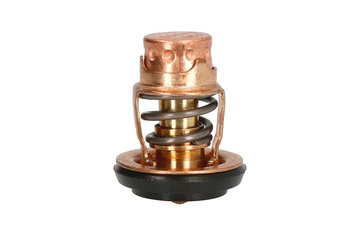 Termostat cieczy chłodzącej (49 °C, 120 °F)