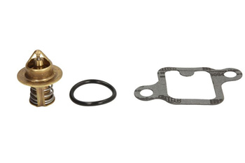 Termostat cieczy chłodzącej (62 °C, 143 °F)