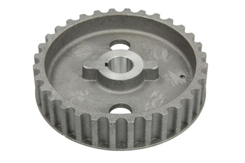 Koło zębate wałka rozrządu PARSUN/TOHATSU F8  F9.8