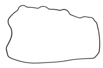 Uszczelka pokrywy zaworów