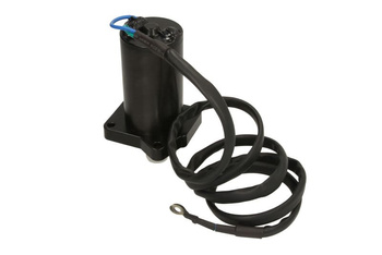 Pompa trymu PARSUN F30  F40