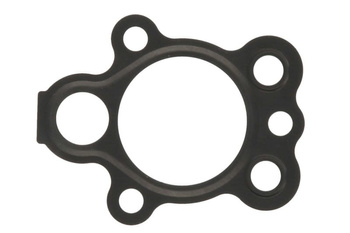 Uszczelka pompy oleju PARSUN/TOHATSU F8  F9.8