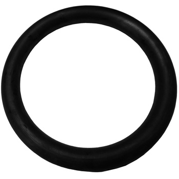 ORING OE 813967