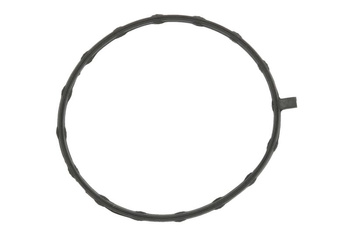 Uszczelka pompy paliwa