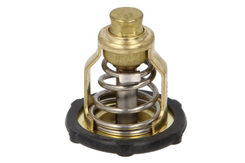 Termostat cieczy chłodzącej