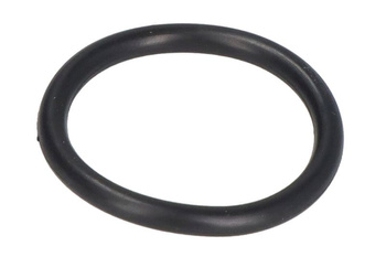 Oring układu paliwowego PARSUN F15  F9.9