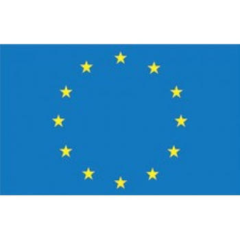 BANDERA UNII EUROPEJSKIEJ 20 X 30 CM - FLAGA UNIJNA