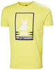 ENDIVE 455