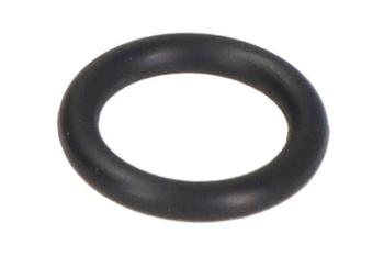 Oring czujnika temperatury PARSUN F30  F40