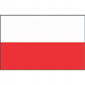 BANDERA POLSKI RP 30 X 45 CM POLIESTER BEZ ORZEŁKA