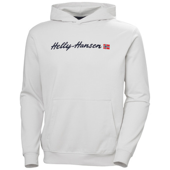 BLUZA MĘSKA HELLY HANSEN CORE GRAPHIC SWEAT HOODIE 53924 NIMBUS CLOUD
